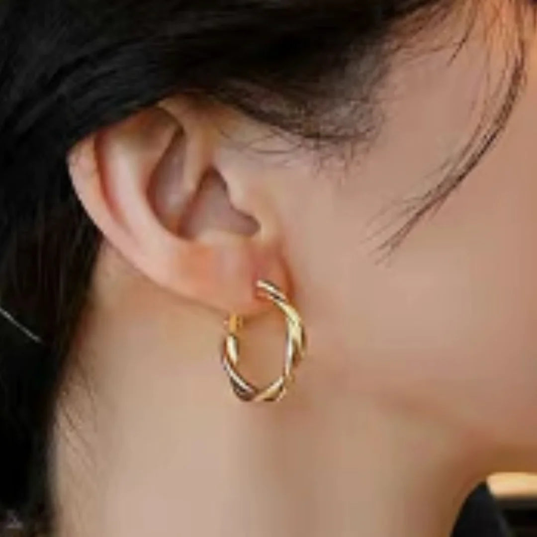 Earrings Sophisticated Turn Hoop